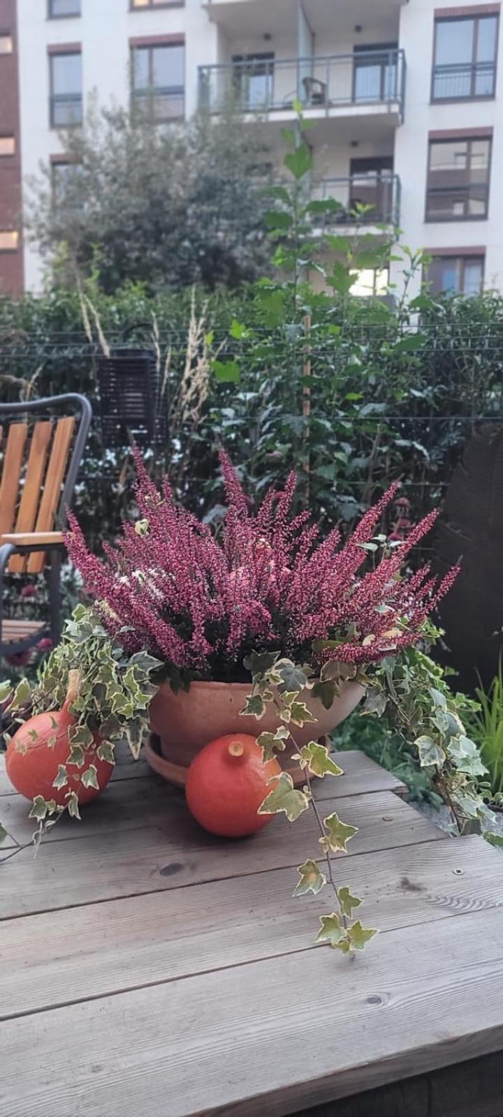Riverside Garden Apartament Marina 格但斯克 外观 照片